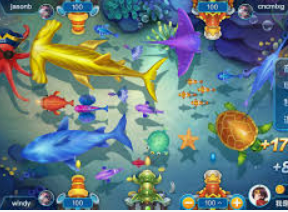 k·yun新网站登录下载app正式版